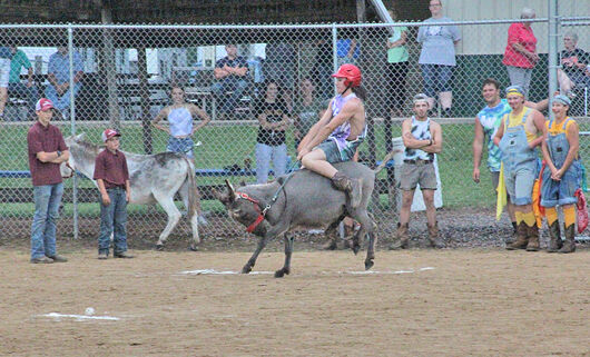 DonkeyBaseballRace